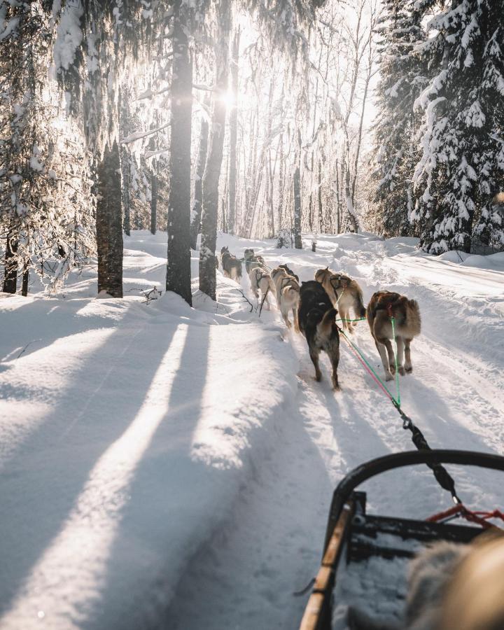 Nova Galaxy Village Rovaniemi Exteriör bild